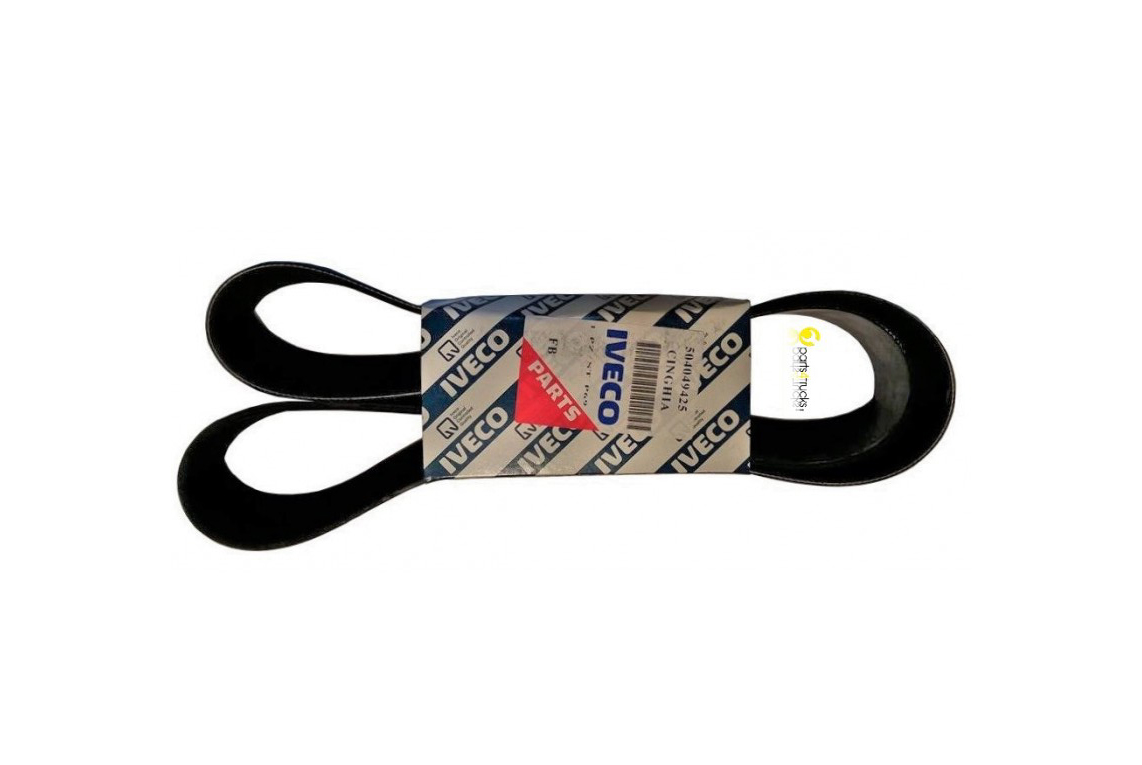 Ribbed Belt